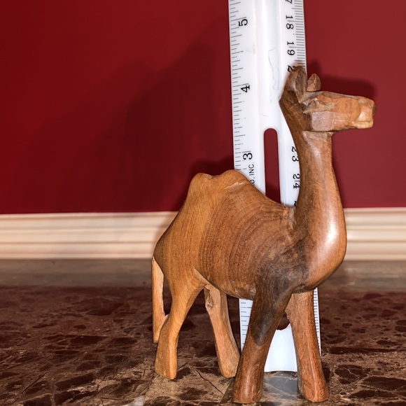 Camel - Picture 3 of 4